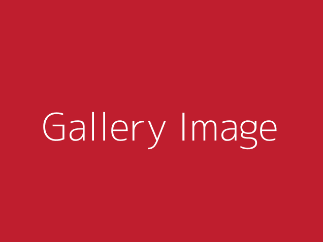 gallery-image-test