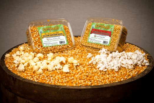 Popcorn_Seed_Display-UP-523×349